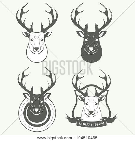 Deer head isolated on white background