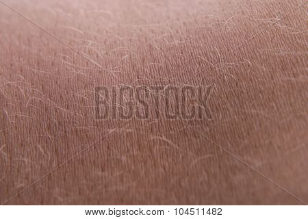 Human Skin Close Up