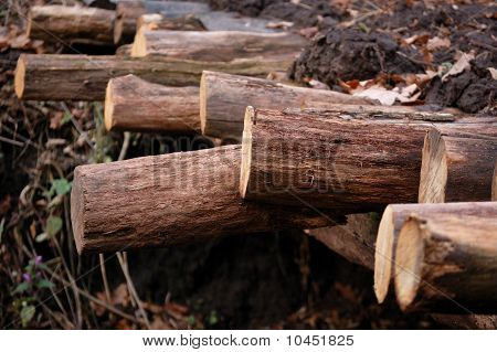 logs