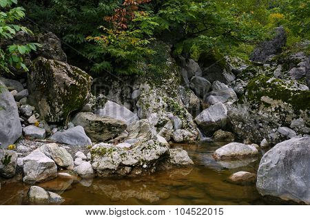 Natural spring pool creek in Northern Albania Tropja