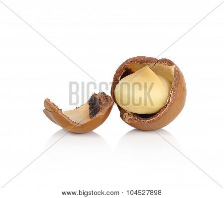 Macadamia Nut On White Background