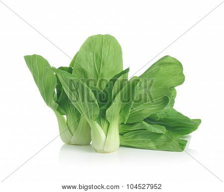 Pok Choi On White Background