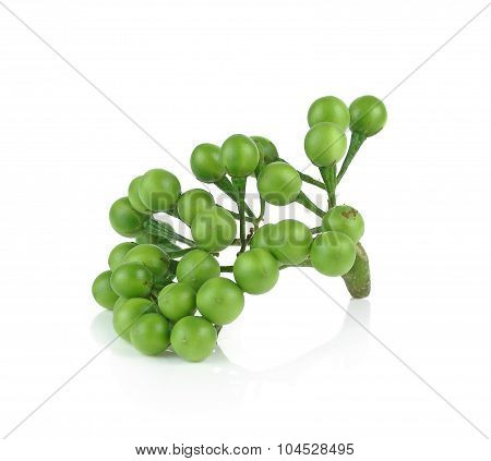 Solanum Torvum On White Background