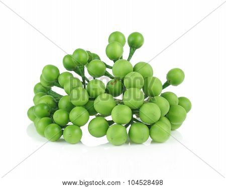 Solanum Torvum On White Background