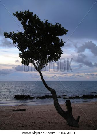 Lone Tree Beach kaupungissa Desaru, Malesia aikana Dusk
