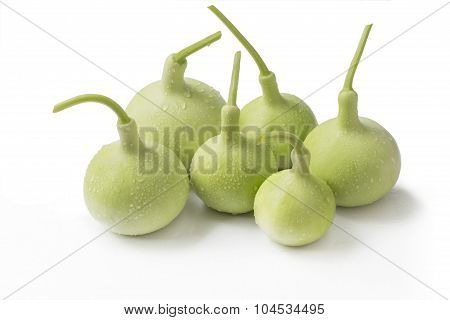 calabash