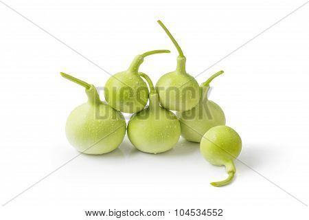 calabash
