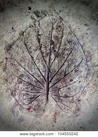 Leaves pattern