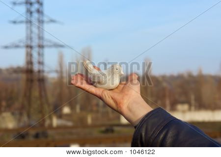 Flyve, Birdie