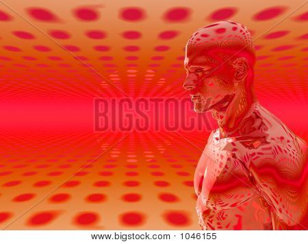 Polka_Alum_Man_Lb