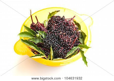 Elder Berries In A Bowl