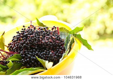Elder Berries In A Bowl