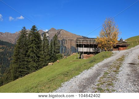 Rural Autumn Scene Near Gstaad
