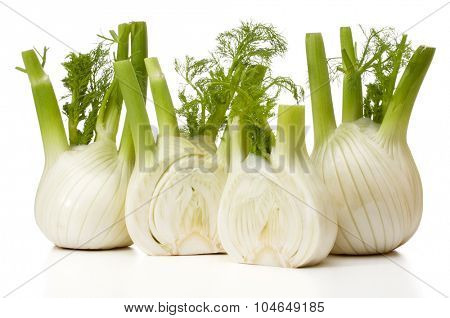 Fresh fennel bulb isolated on white background close up