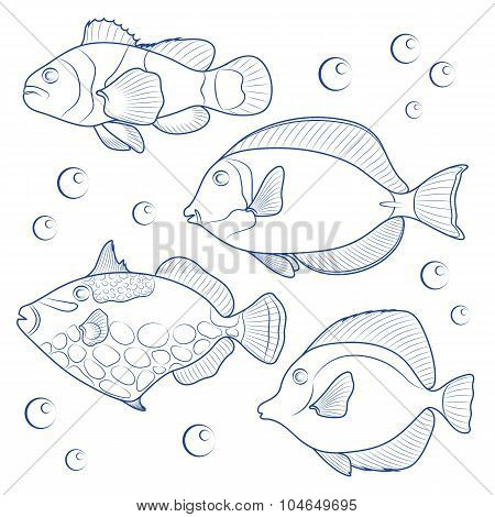 Collection of tropical reef fish. Vector illustration