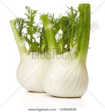 Fresh fennel bulb isolated on white background close up