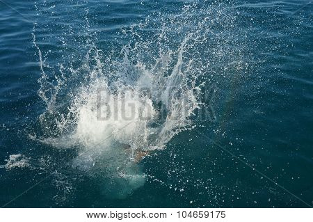 Splashes of water 2