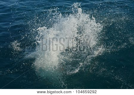 Splashes of water 1