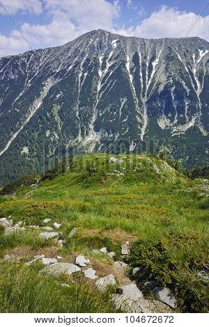 Green hils of Todorka peak, Pirin Mountain