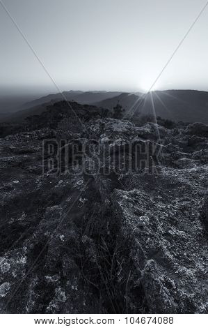 Aloe On High Mountain Rocks Landscape At Sunset With Clear Skies Artistic Conversion