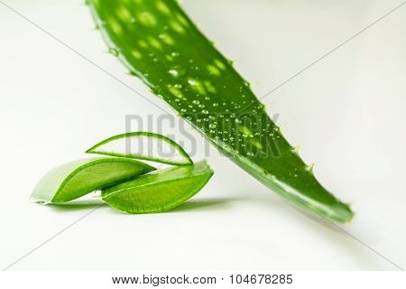 Aloe