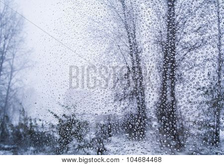 Drops On The Window