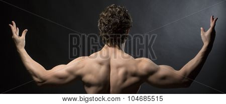 Back View Of Muscular Man