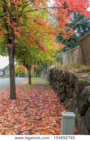 Autumn In Burien 10