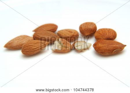 Walnut Apricot On A White Background