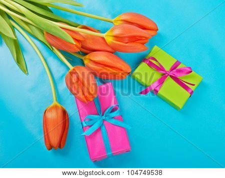 Flowers Red Tulips