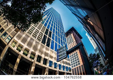 Skyscrapers Of Frankfurt Am Main