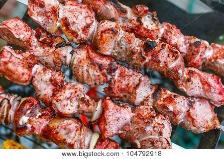 A few skewer of goluptious meat