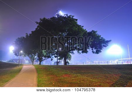 A walkway with tree in a hazy night