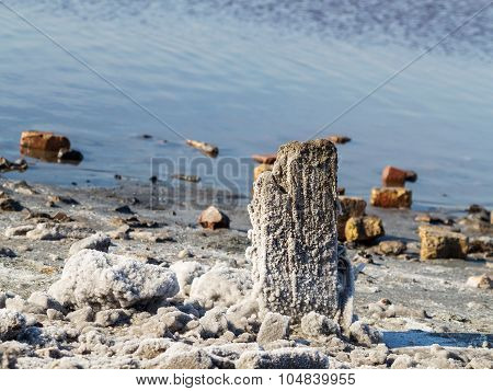 Petrified Salt Acted On Wooden Boards In Dry Estuary, Selective Focus. Water Has Receded Far Into Th
