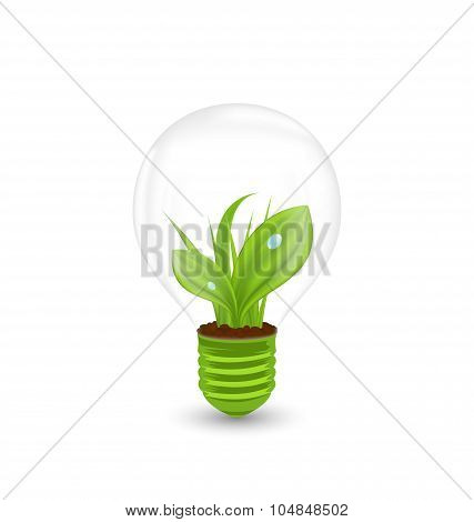 Lamp with Green Grass Inside