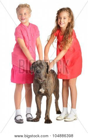 Two girls holding a big dog by the collar isolated on white. Focus on the dog 