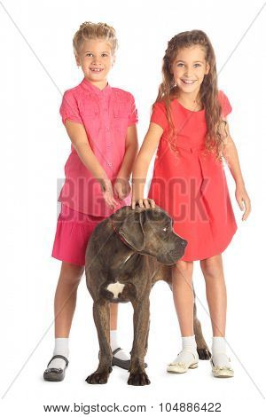 Two beautiful girls with a big dog isolated on white. Focus on girl in red dress