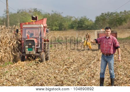 Farmer On Corn Field