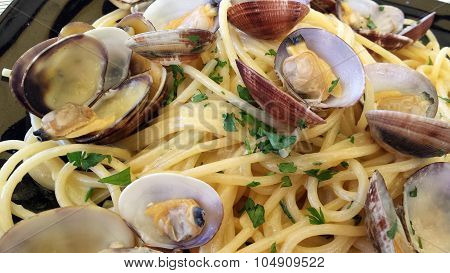 Plate of spaghetti with clams