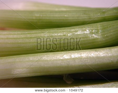 Grön lök