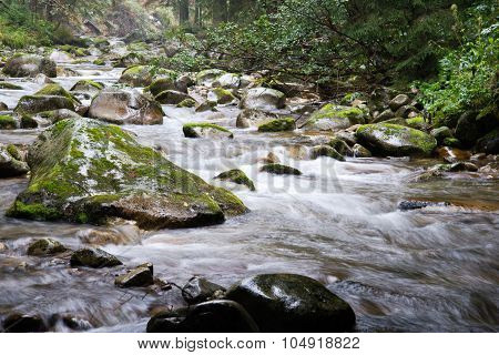 river flow at Tatra mountains