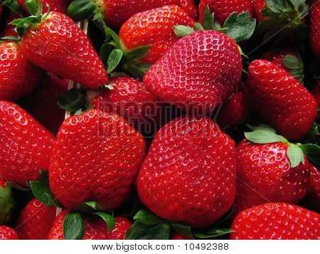 Fragole