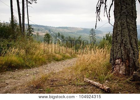 path to High Tatra mountains