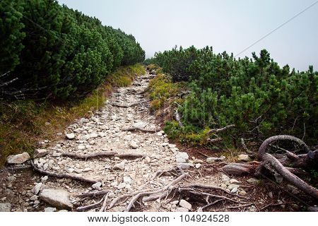 boulder road to High Tatra mountains