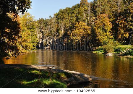 Alberi