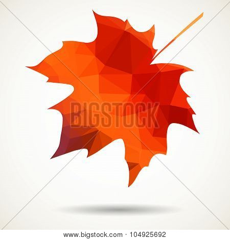 Triangular Maple Leaf