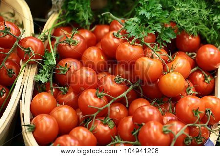 Lug-boxes Of Cherry Tomatoes Parsley And Dill