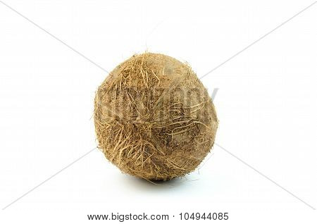 coconut