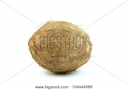 coconut