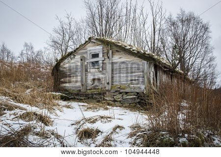 Norwegian landscape in the winter with snow and a old little wooden barn Nordland Norway;